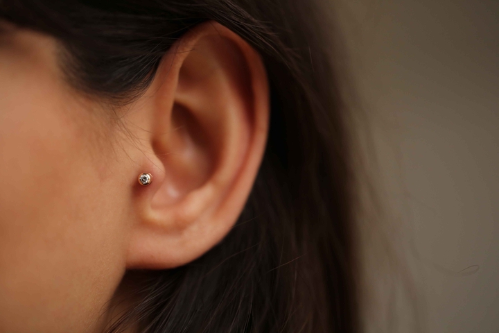 Tek Taş Tragus - REİS