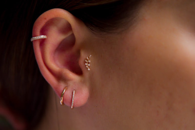 Dal Pırlanta Tragus - REİS