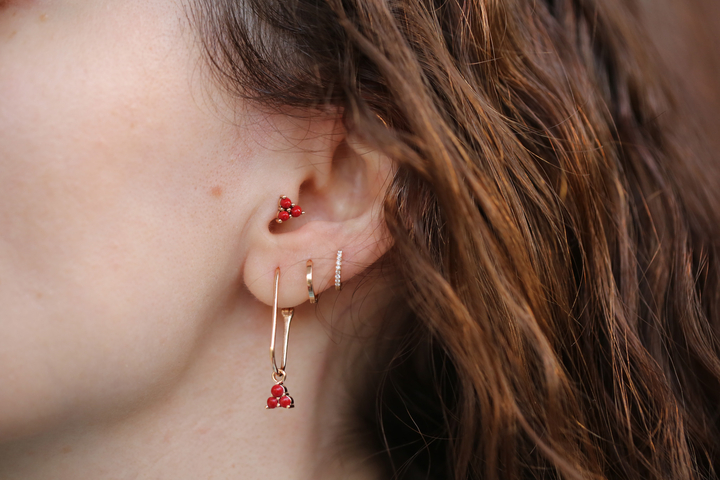 Kokina Tragus - REİS