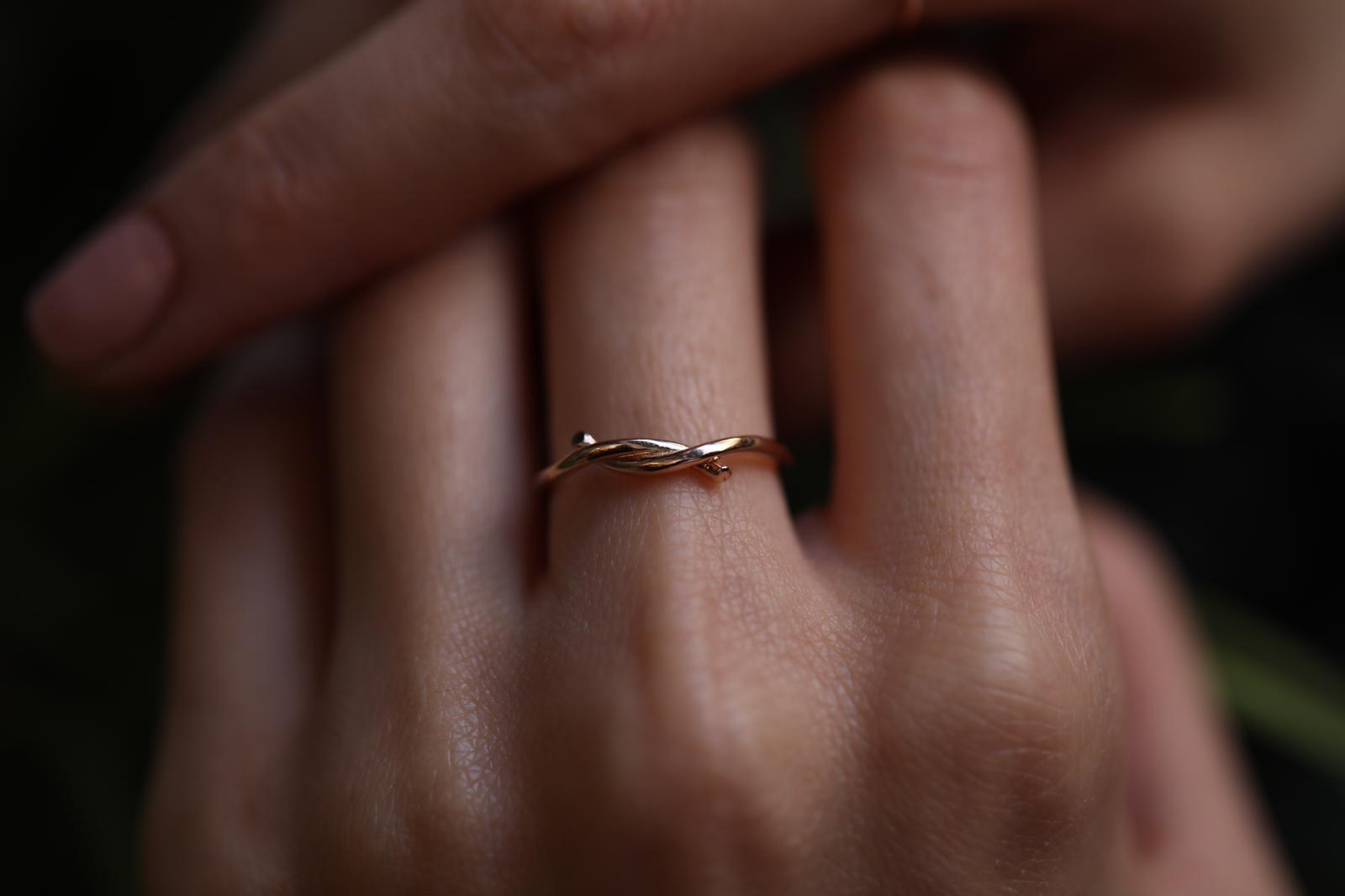 Nisan Düğümü - REİS