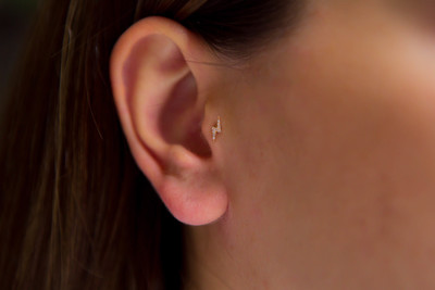 Şimşek Tragus - REİS