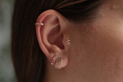 Yılan Tragus - REİS