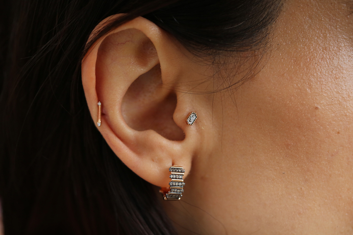 Zigi Zaga Brown - REİS